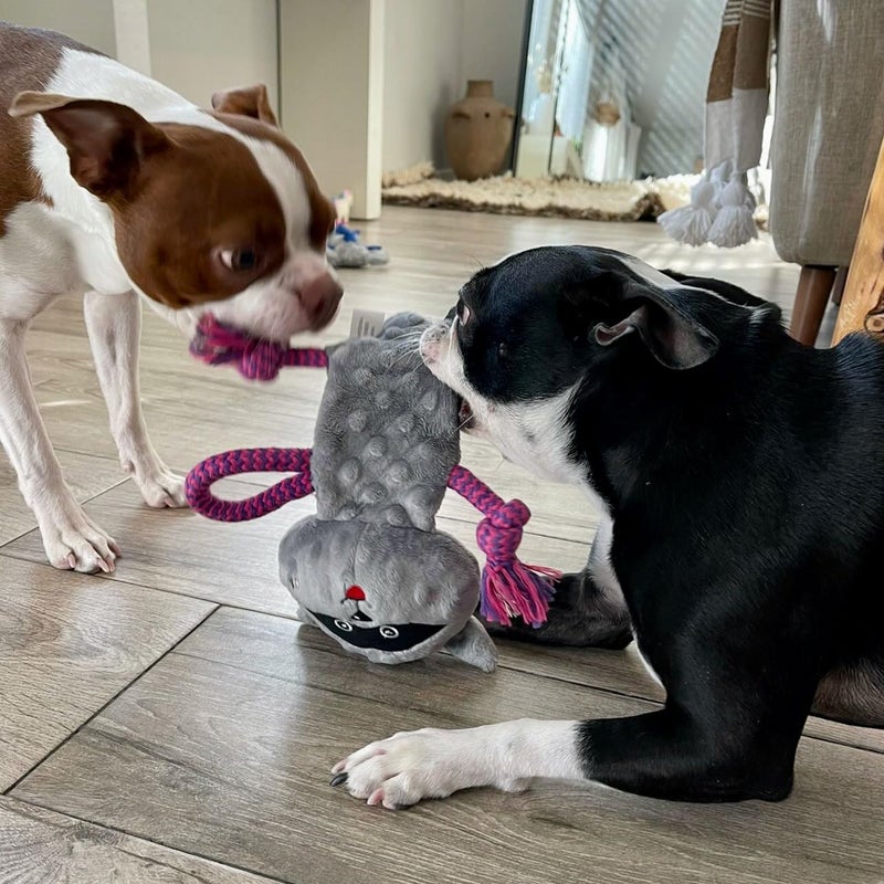 rocket & rex Dog Chew Toy Set for Small to Medium Breeds, Includes a Stuffing Free Rope, Rubber Squeaker and Plush Toy, Reduces Destructive Chewing & Anxiety (Pack of 3) - Image 4